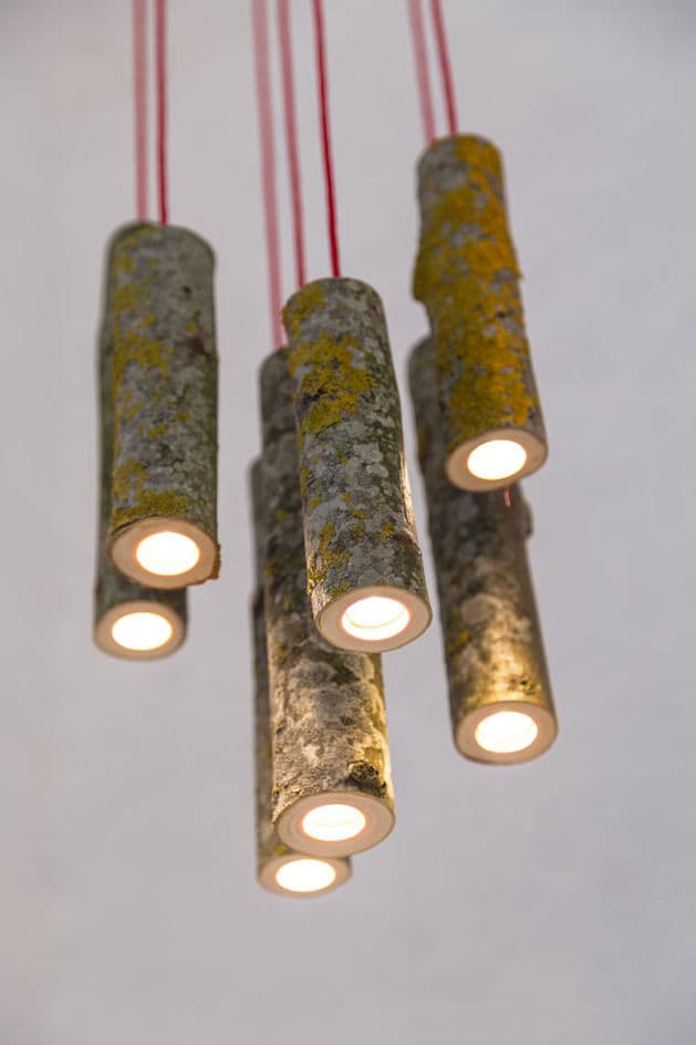 Tree Branch Lighting