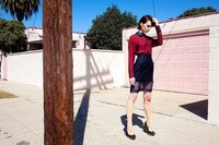 Multicolored Californian Photography Image 5