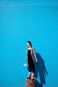 Multicolored Californian Photography Image 6