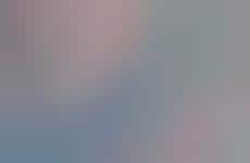 Fantastical Fairy Tale Interpretations