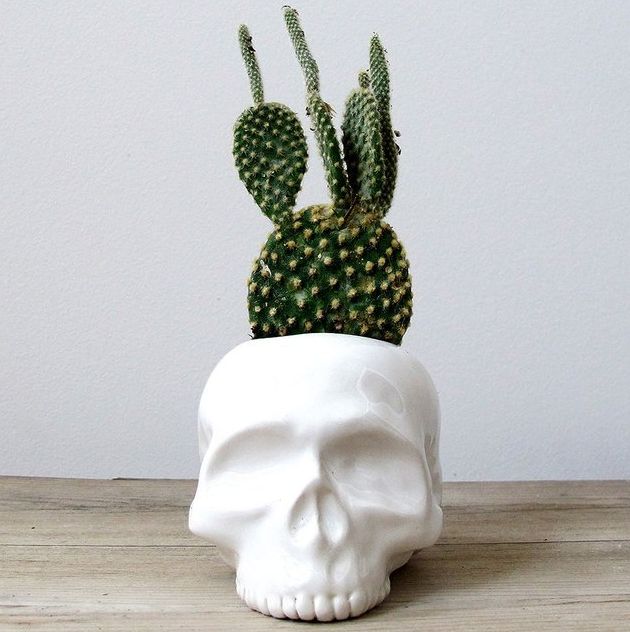 Skull Planters