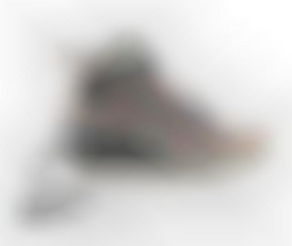 Prehistoric Cartoon Kicks