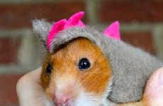Dino Hamster Halloween Costumes