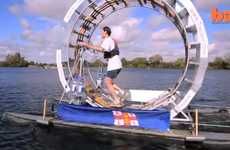 17 Atypical Hamster Wheels