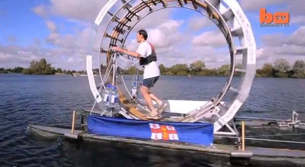17 Atypical Hamster Wheels