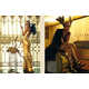 Luxurious Gold-Dripping Editorials Image 2