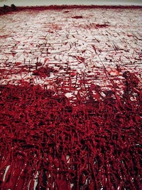Gory Art Galleries Image 3
