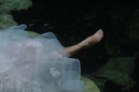 Submerged Bridal Photographs Image 7