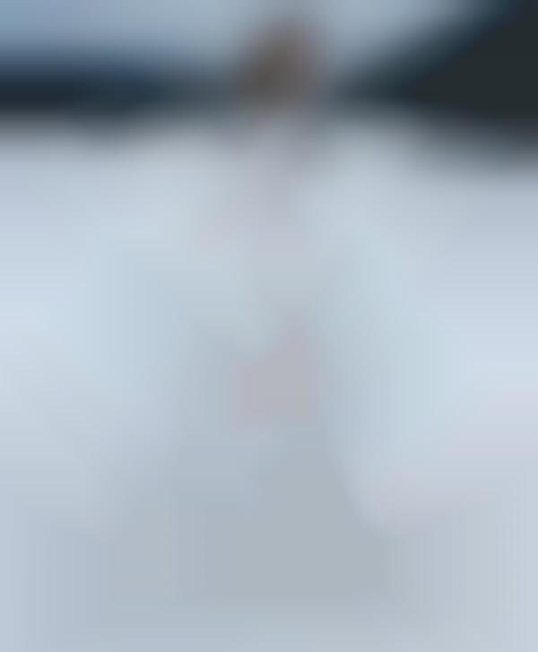 Ice Princess Fashion Gowns