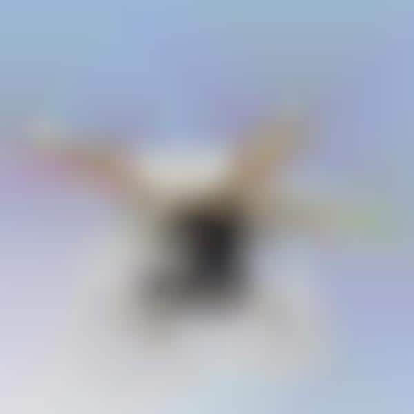 Camera-Mounted Quadcopters