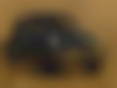 LEGO Volkswagen Beetles