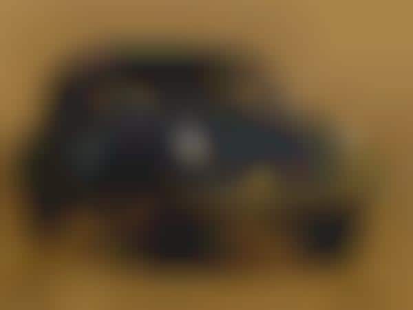 LEGO Volkswagen Beetles