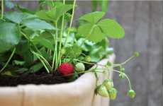 Disassemblable Urban Gardens
