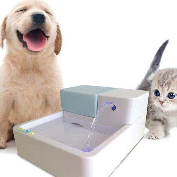 Self-Serving Pet Fountains