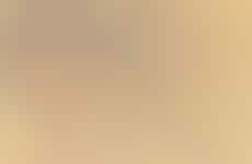 Popular Pin-Up Stats