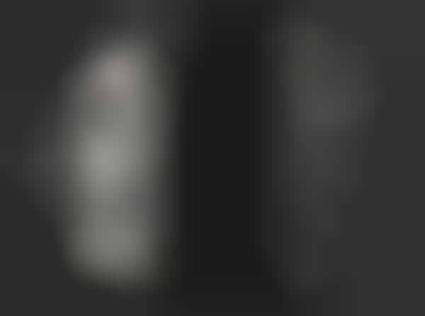 Flora-Themed Phone Cases