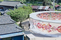 Transparent Floral-Printed Pavilions Image 3