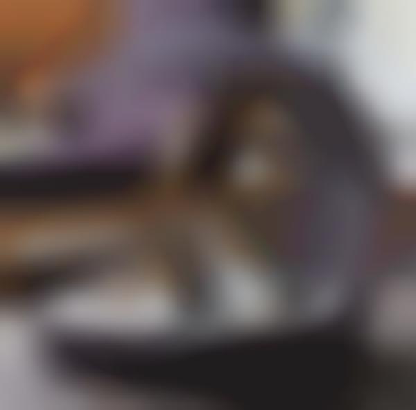 Canine Chaise Loungers