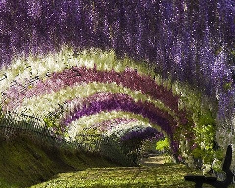 32 Spectacular Tunnel Designs