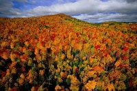 Conservationist Aerial Photography Image 5