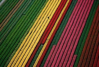 Conservationist Aerial Photography Image 6