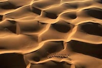 Conservationist Aerial Photography Image 8