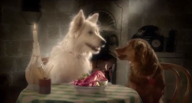 Bittersweet Canine Auto Ads