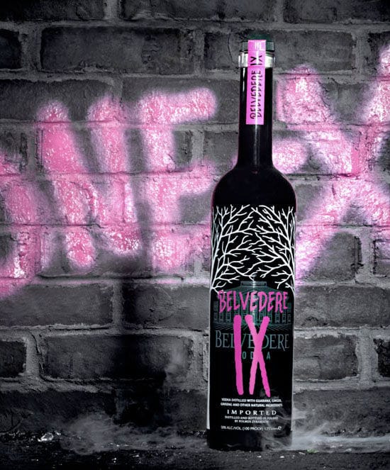 43 Artistic Vodka Bottles