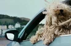 Dog-Approved Automobile Ads