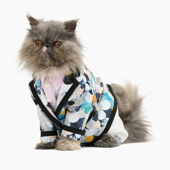 Fashionable Cat Calendars