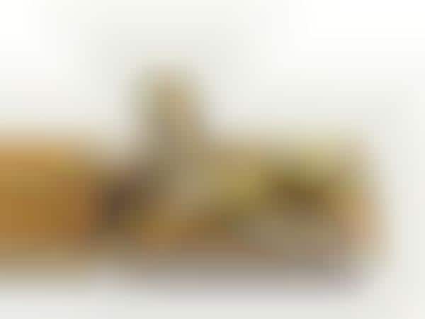 Linked Dining Dishes