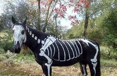Horsey Halloween Costumes