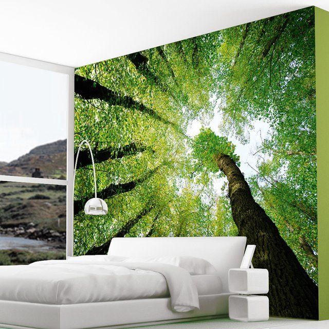 Enchanted Forest Wall Murals