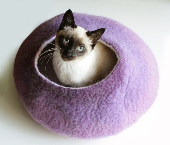 56 Contemporary Feline Furnishings