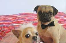 Canine Nuptial Costumes