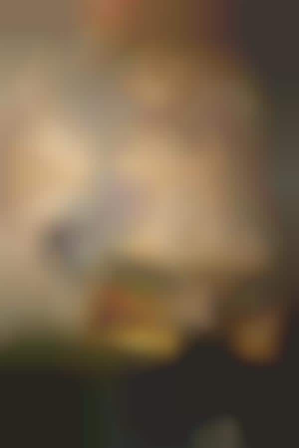 Serenely Submerged Photography