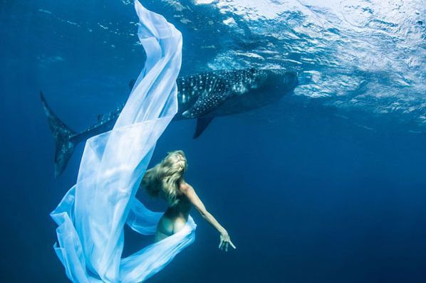 26 Underwater Photography Series