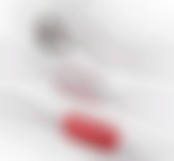 Earphone Identifiers