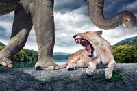 Fantastical Animal Photoshopping Image 4