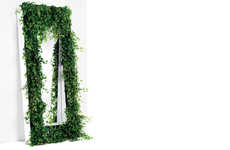 Plant-Packed Mirrors