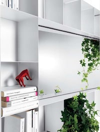 Plant-Packed Mirrors Image 4