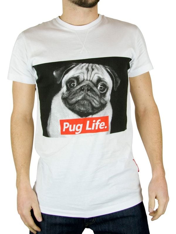 100 Gifts for Canine Lovers