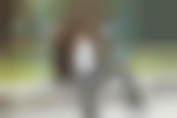 Disgruntled Jersey Girl Photography