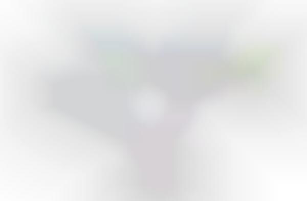 Efficient Eco Gestation Gauges