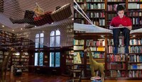 Web-Inspired Reading Surfaces Image 4
