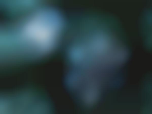 Extreme Snowflake Closeups