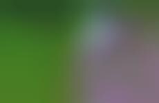 Color-Capturing Cubes