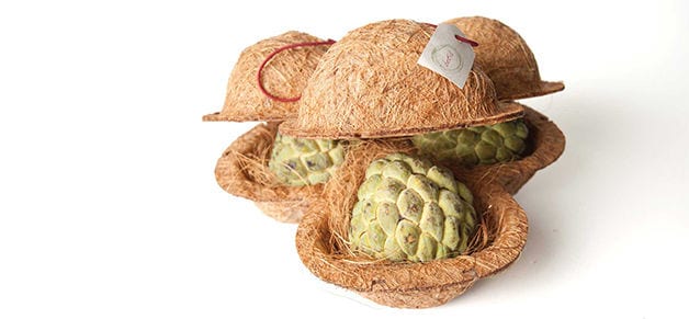 Coconut Shell Containers
