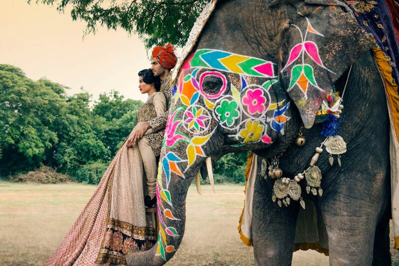 Exotic Wedding Editorials