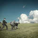Surreal Retro Artworks Image 4